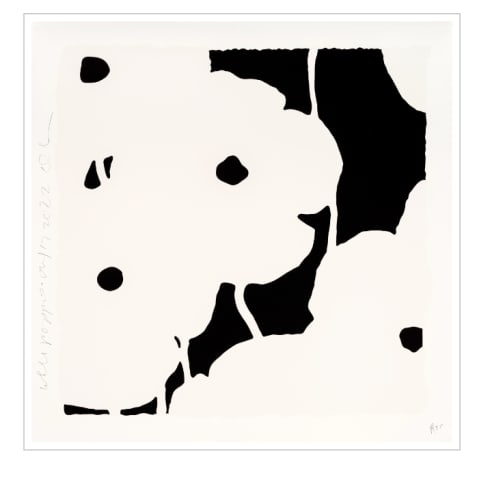 White Poppies, 2022