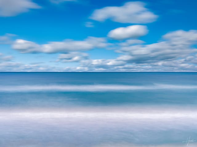Blue Horizon, 2024