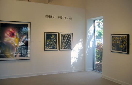 Robert Bueltman exhibition installation