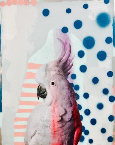 Jimmy Smith, Rise and Shine Cockatoo