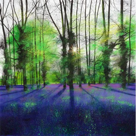 Paul Evans, Sunburst and Bluebells
