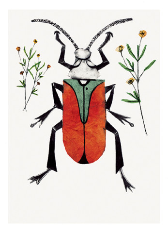 Beatrice Forshall, Scarlet Malachite Beetle