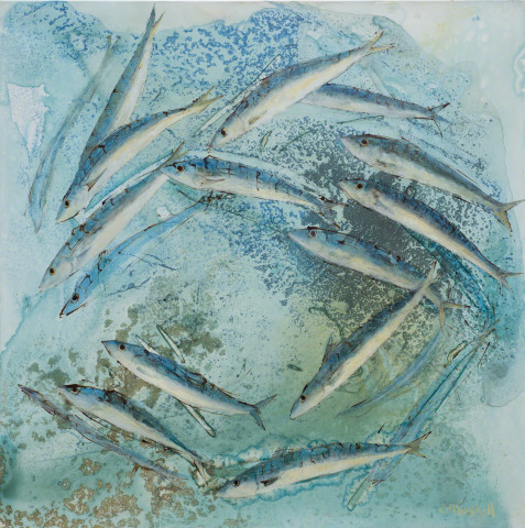 Catherine Forshall, 'Mackerel, estuary'