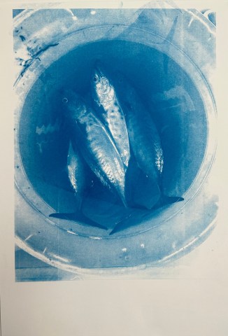 Lucia Seifert, Deep Luminescence