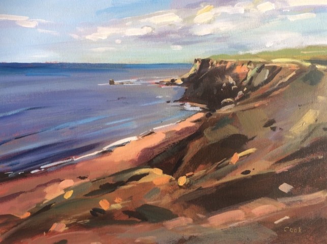 Colin Cook, Saltwick Bay and Black Nab