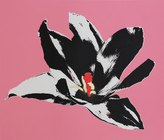 Anne Gournay, Flower Power, Pink is the new Black
