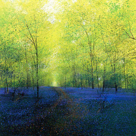 Paul Evans, Springtime woodland