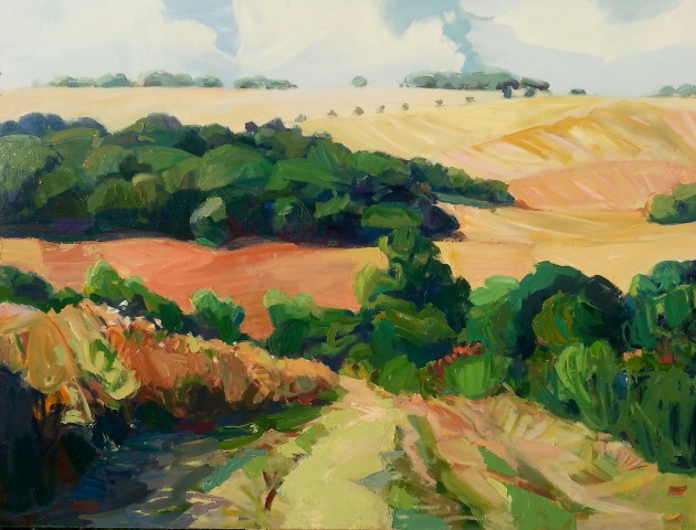 Minnie Shaw Stewart, Downs ii