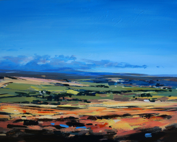 Colin Cook, North York Moors - late summer