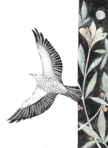 Beatrice Forshall, Song Thrush