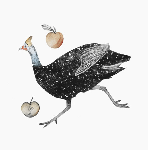 Beatrice Forshall, Guinea Fowl