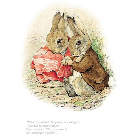 Beatrix Potter, Peter, Who Has Got Your Clothes?