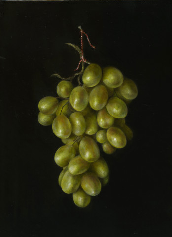 Tanja Moderscheim, Grapes from Provence , 2020