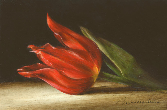 Tanja Moderscheim, Max cramoisi tulip 1700 , 2020