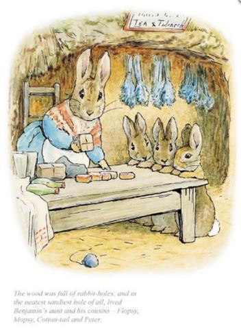 Beatrix Potter, The neatest, sandiest rabbit hole