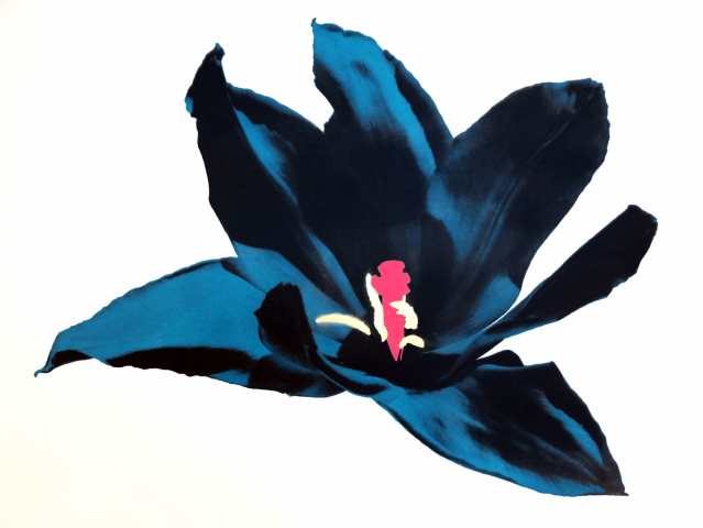 Anne Gournay, Just Because I Like Them so Much, Dark Blue