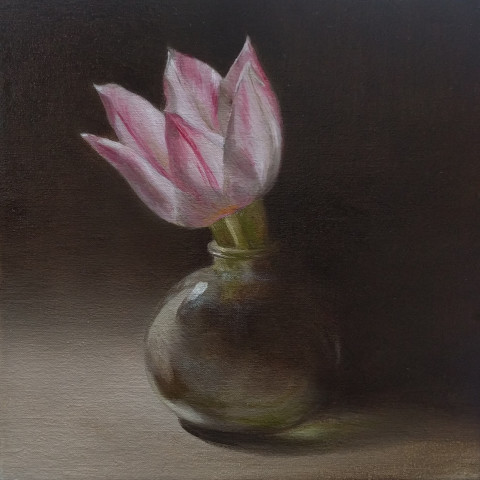 Tanja Moderscheim, Duc v Tol Rose Tulip 1700 , 2020