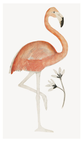 Beatrice Forshall, Flamingo