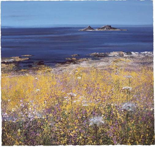 Paul Evans, Coastal Flowers