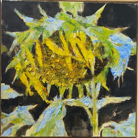 Hua Ye, Sunflower, 2022