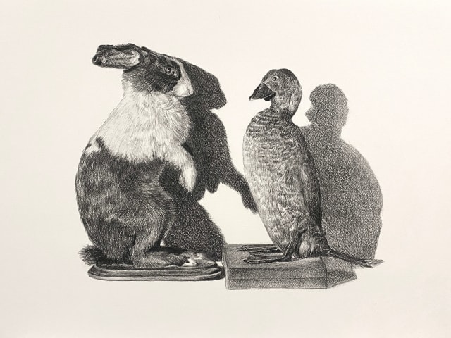 Yvonne East, Shadow self, rabbit and duck, 2024