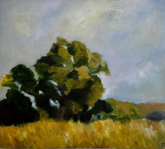 LUCiA MiG, Grassy Hills, Goonoo, Goonoo, 2025