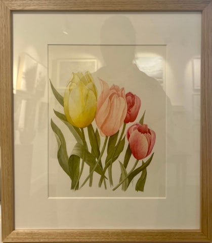 Charmaine Phillips, Tulips I, 2022