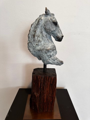 Helena Lillywhite, Equus I, 2024