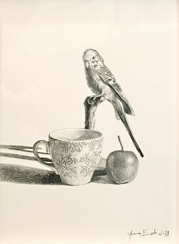 Yvonne East, Budgerigar, apple, teacup, 2023
