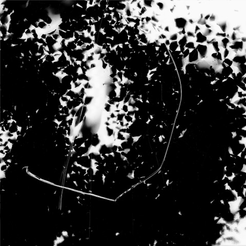 Anahita Razmi, WORLD MUSIC #11 (The Sound of A Shadow Encryption), 2026