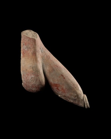 Etruscan anatomical votive model of a phallus, Italy, 5th-4th century BC