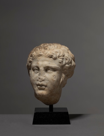 Roman head of Hercules, c.2nd century AD