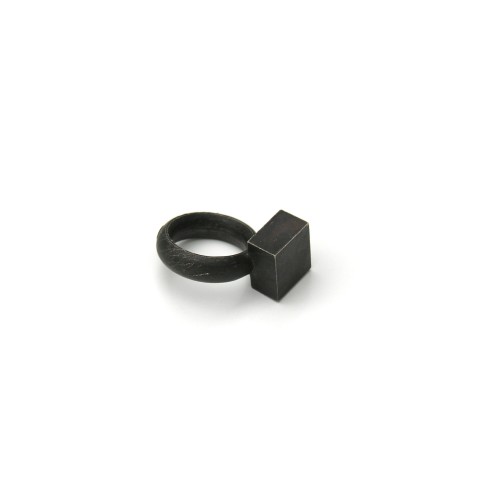 Rudolf Bott, Ring, 2000