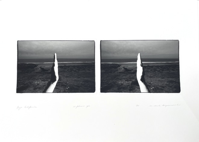 Michel,Szulc Krzyzanowski, Baja California , 1980