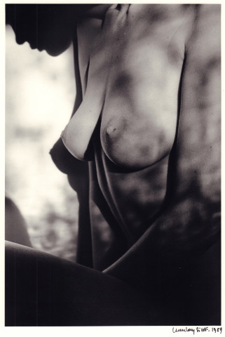 Jeanloup Sieff, Profile, Paris, 1989