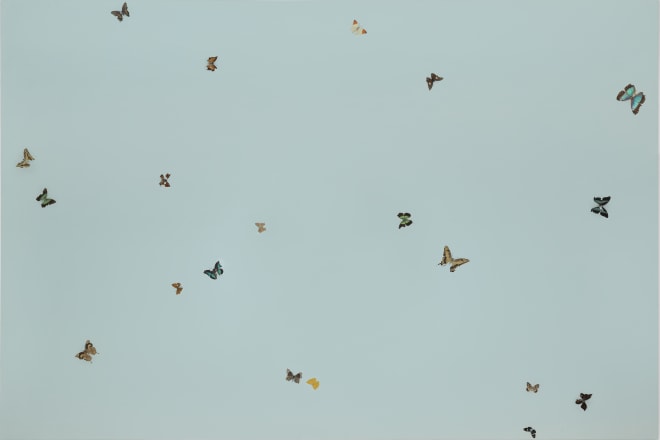 Damien Hirst, TBC, 2002