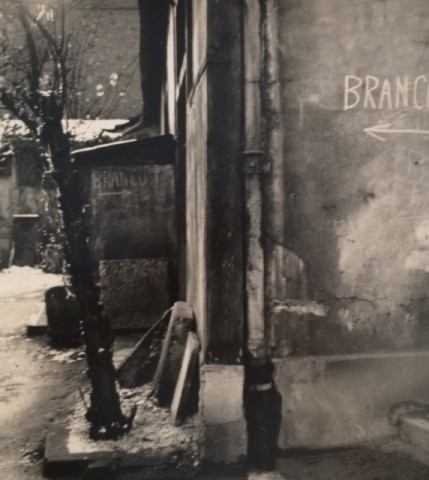 Florence Homolka, Brancusi's Studio, 1948