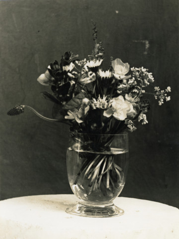 Constantin Brancusi, Bouquet, 1933