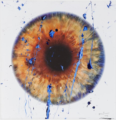 Marc Quinn, Untitled (The Eye of History), 2016
