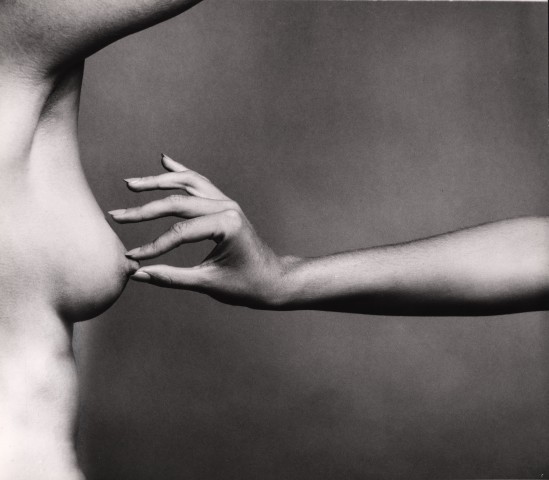 Guy Bourdin, Les Soeurs (Erect Nipple in Pinch)