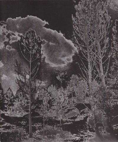 Marcel Bovis, Solarised Landscape (1), C.1930