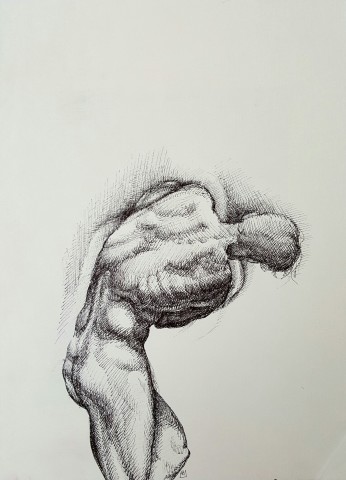 Armando Alemdar Ara, Struggle, 2016