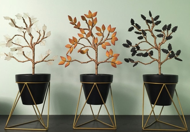 Arhum Al-Rahman, Transfigurations (Oak, Apple, Maple), 2018