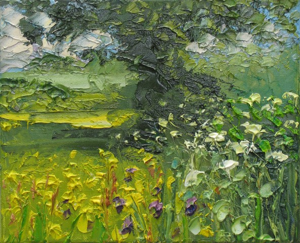 Colin Halliday, Buttercups and Cow Parsley, 2014-15