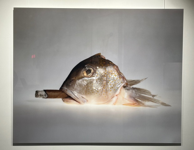 Elliott Erwitt, Cohiba with Smoking Fish, 2015