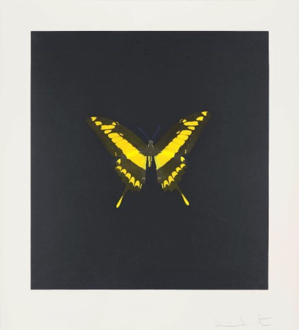 Damien Hirst, The Souls on Jacobs Ladder Take Their Flight (Small Yellow), 2007