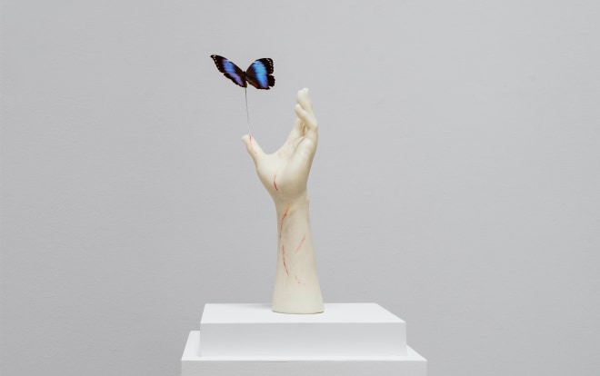 Nir Hod, Scratches of Butterfly, 2023