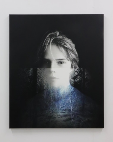 Yuichiro Sato, The Light in the Forest, 2024