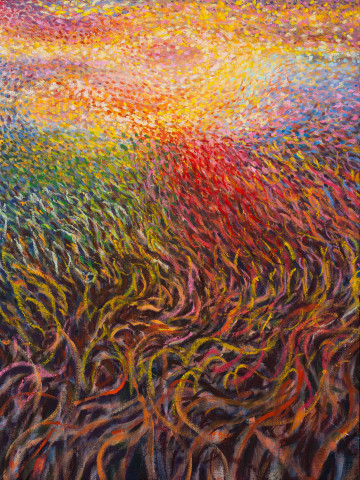 Eemil Karila, Harvesting Light, 2023