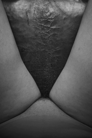 Luis Gispert, Leather, 2017